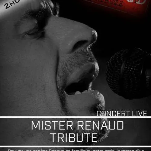 Mister Renaud Tribute